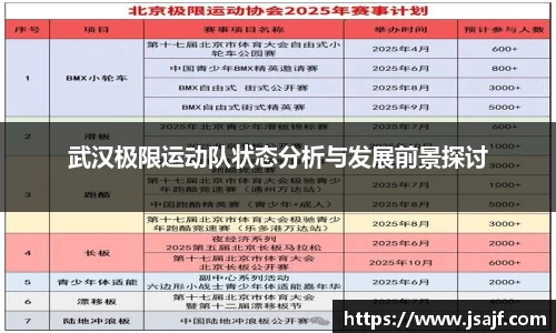 武汉极限运动队状态分析与发展前景探讨